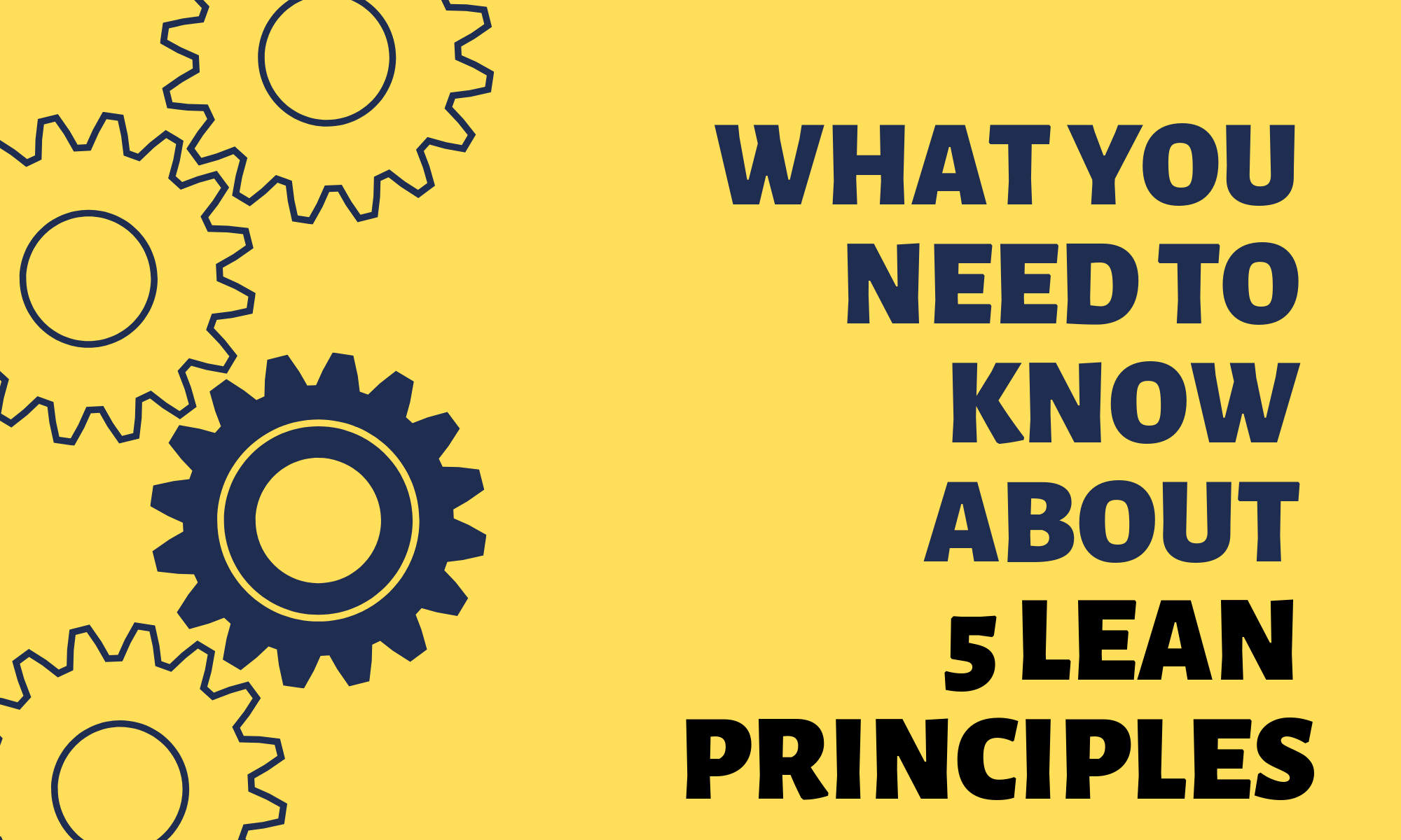 Read more about the article What are the 5 lean principles?